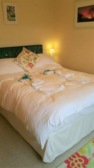 Horsna Parc Retreat Bed & Breakfast Saint Tudy Eksteriør bilde